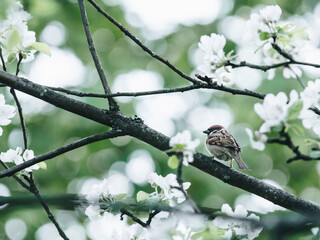 文章合为时而著,歌诗合为事而作是哪个诗派