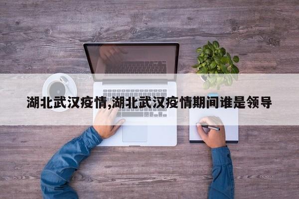 湖北武汉疫情,湖北武汉疫情期间谁是领导