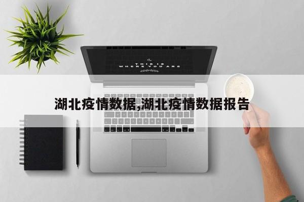 湖北疫情数据,湖北疫情数据报告